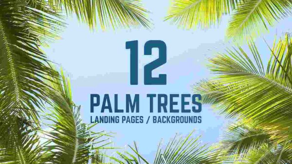 Palm Trees Against Blue Sky Backgrounds – 12 JPG Backgrounds