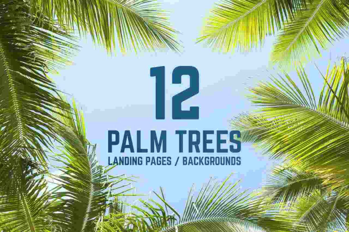 Palm Trees Against Blue Sky Backgrounds – 12 JPG Backgrounds - Image 1